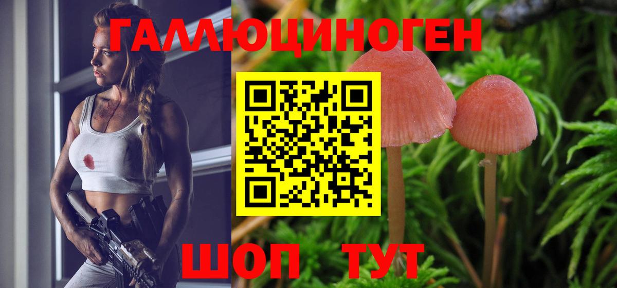 Черняховск  Псилоцибиновые грибы Psilocybine cubensis  Псилоцибиновые грибы мицелий  Вход с VPN 