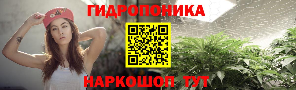 Черняховск  Бошки марихуана AK-47  Вход с VPN  Конопля Ganja  Шишки марихуана White Widow 